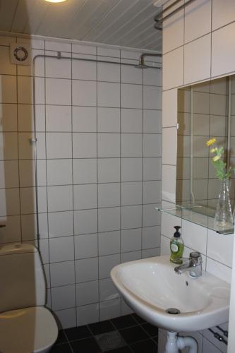 Un baño de Ösjönäs