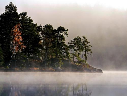 Un paisaje natural cerca del camping resort