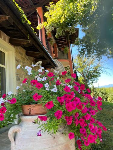 a pot of red and white flowers in front of a house at Cascina Manzo in Dogliani