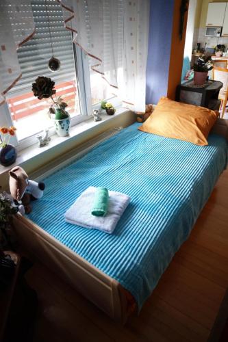 Postel nebo postele na pokoji v ubytování Vila Biba - Ilijas