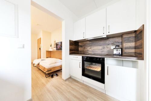 Kuchyň nebo kuchyňský kout v ubytování Pamir - 22