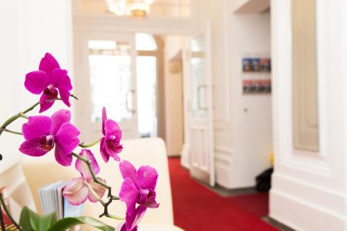Self Check-in Hotel Odeon في فيينا: مجموعة من الزهور الأرجوانية على نبات في غرفة