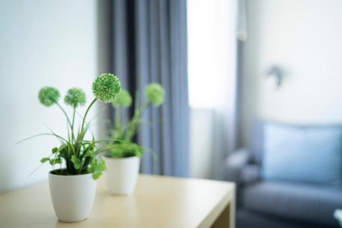 two potted plants sitting on a table in a living room at Club Meeting Hotel in Rimini