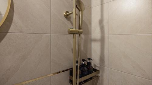 a shower in a bathroom with bottles on a shelf at Stay Passport Express Gyeongseong Cheongnyangni in Seoul