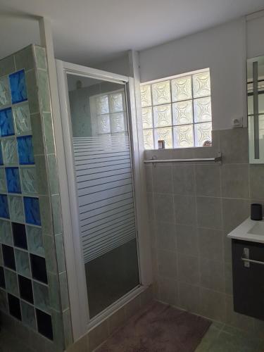 a bathroom with a shower and a glass door at Ô Ravenale Manapany Les Bains in Saint-Joseph