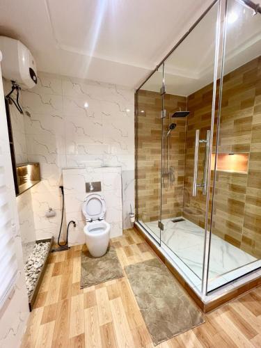 a bathroom with a shower and a toilet at Luxury Smart 3-Bedroom Semi-Detached Apartment in Abuja