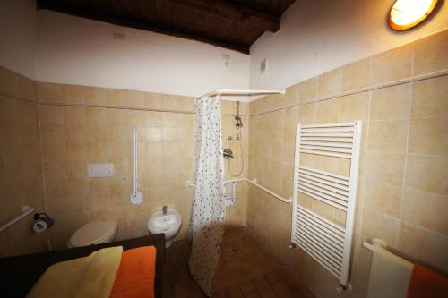 a bathroom with a toilet and a shower in it at Agriturismo Rio Lunei in Stella