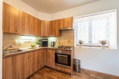 a kitchen with wooden cabinets and a sink and a window at Apartmán v Ladově kraji in Ondřejov