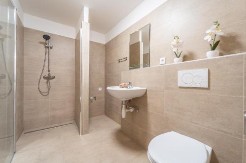 a bathroom with a shower and a toilet and a sink at Apartmán v Ladově kraji in Ondřejov