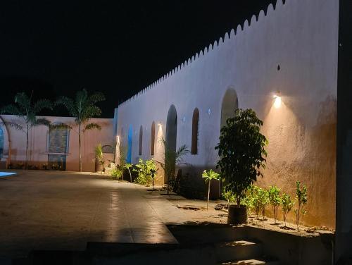 a white wall with a tree in a courtyard at night at Dahleez Resort Mandawa in Mandāwa