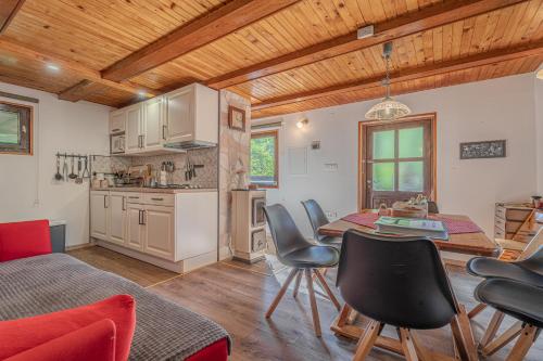 Nhà bếp/bếp nhỏ tại Vila Rozi, Osilnica - vacation house Pr' Vili Rozi