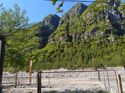 Imagine din galeria proprietății Bujtina Legata în Theth