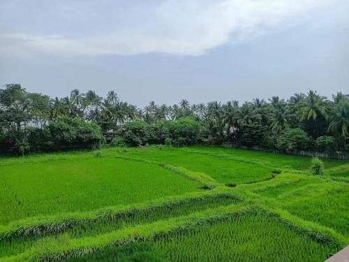 a field of green grass with palm trees in the background at Leela beachside stay in Kashid
