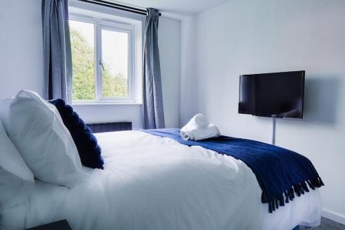 Spacious 2BR City Stay - Parking - Sleeps 6 photo 29