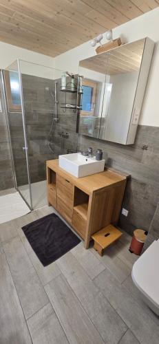 a bathroom with a sink and a mirror at Refuge de La Coste 