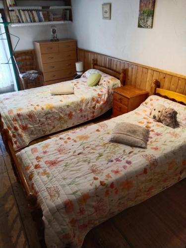 two beds in a bedroom with a cat laying on them at La ferme des souvenirs in Vaulry