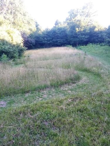 a field of tall grass with a path in it at La ferme des souvenirs in Vaulry
