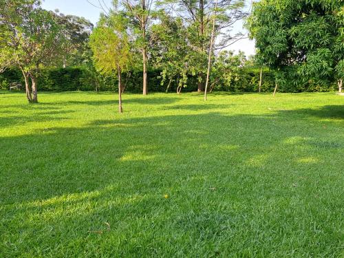 a field of green grass with trees in the background at Quaint Serene Homes in Busia