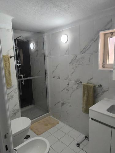 a bathroom with a shower and a toilet and a sink at Beach house for 4 by the sea in Gafanha da Nazaré