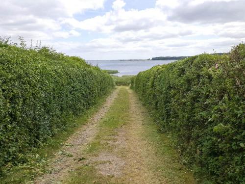 a dirt road between two hedges next to the water at 6 person holiday home in Kirke Hyllinge in Kirke-Hyllinge
