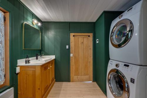 a green bathroom with a washing machine and a sink at Quietude by the River - La dependance sur les battures in Notre-Dame-du-Portage