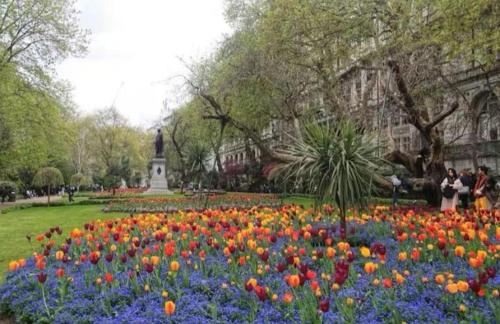 Jardin de l'établissement Charming 2 Bedroom Flat in the Heart of London, 2 mins to Trafalgar Square!