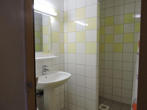 a bathroom with a sink and a mirror at Auberge de Jeunesse de Mulhouse in Mulhouse