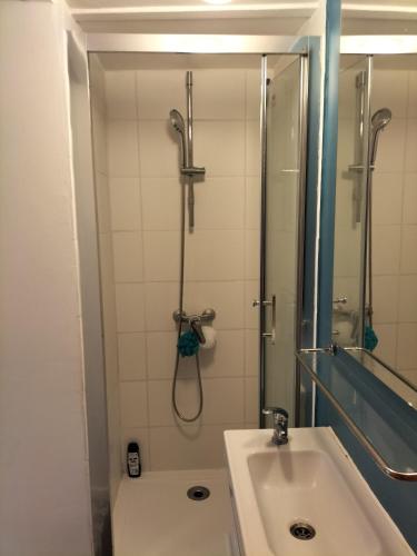 a bathroom with a shower and a sink at Appartement le Luxor in Dijon