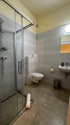 a bathroom with a shower and a toilet and a sink at Casa de Oaspeți Vulcan in Braşov