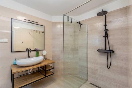 a bathroom with a sink and a glass shower at Villa Lio mit Pool in Linardići