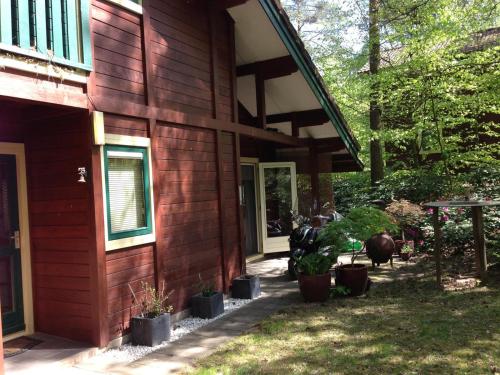 a house with potted plants on the side of it at Birdhouse, for families and couples only in Blitterswijck