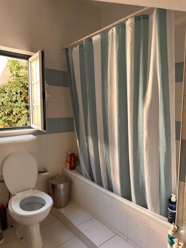a bathroom with a toilet and a shower curtain at Casa Mira in Odemira