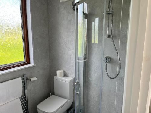 a bathroom with a toilet and a glass shower at Love and Peace, Petts Wood in Orpington