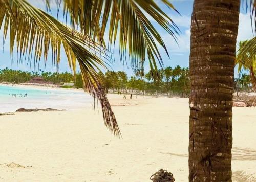 Gambar di galeri bagi Cómodo Apartamento con Piscina y Acceso a la Playa di Punta Cana
