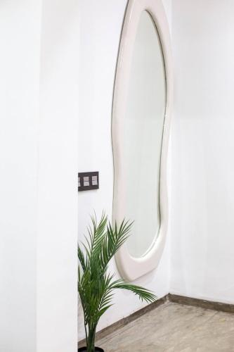 a plant in a room with a mirror at Gueliz Gem Chic, Comfy & Central in Marrakech