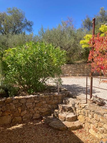 Κήπος έξω από το Maset des Amandiers