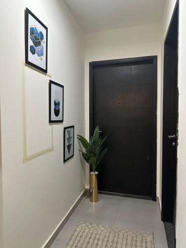 a hallway with a black door and a potted plant at Skypark ,luxury apartment ,with netflix and pool in Islamabad