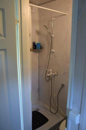 a shower with a glass door in a bathroom at Välja Puhkemaja in Üksnurme