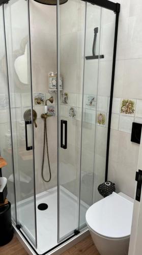 a bathroom with a shower and a toilet at Refúgio da Quinta Nere Maitia in Santarém