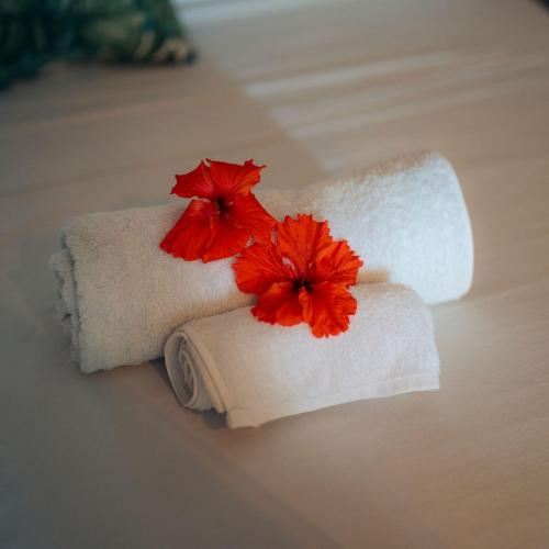 Gallery image of Aurora Lodge in Ile aux Nattes