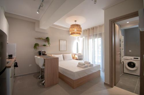 Damon and Findias Legend Studio