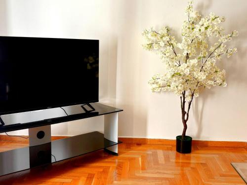 Two bedroom Apartment in Athens Center
