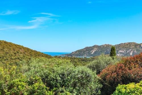 Casa Sarralonga Di Porto-Vecchio