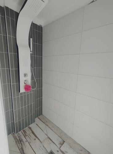 a bathroom with a shower with a mirror at Mon Cabanon in Roquemaure