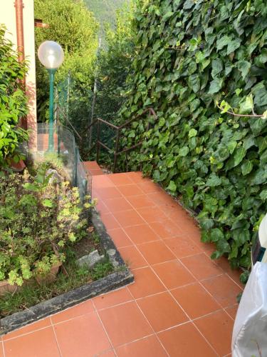 a garden with a brick walkway next to a hedge at La casa nel verde con piscina in Polverara