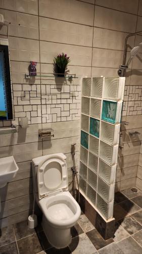 AssinieRésidence AL的带马桶和水槽的浴室