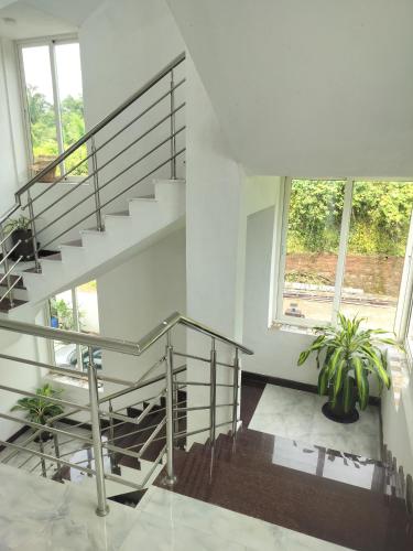 a staircase in a house with two potted plants at Vrindavan Homestay Panaji in Batim