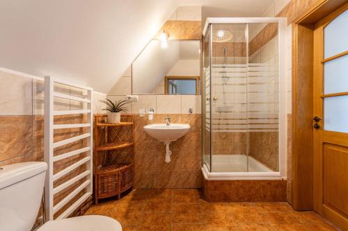 ザコパネにあるFamily Villa - Widok na Tatry - Jacuzzi i Grillの洗面台とシャワー付きのバスルーム