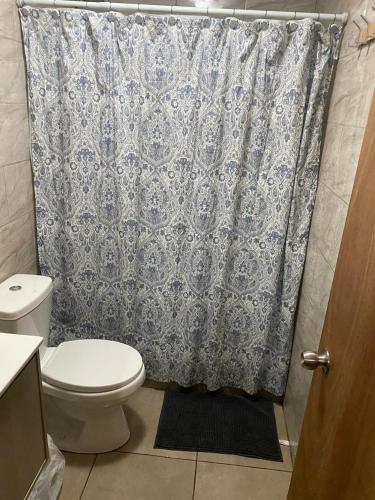 a bathroom with a toilet and a shower curtain at Cabaña Paihuen in Puerto Octay
