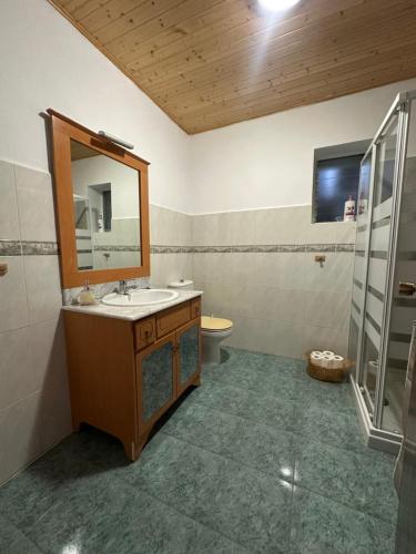 a bathroom with a sink and a mirror and a toilet at Casa Rural Melon in Melón